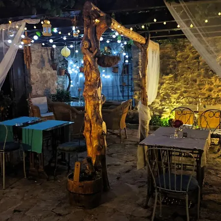 Летний дом Xana Террьенте